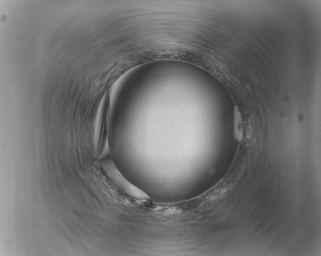 X0000053070916200508011936