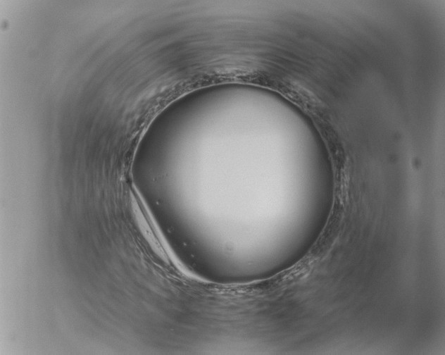 X0000053070917200508011936