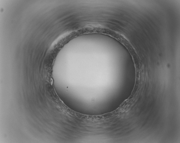 X0000053070919200508011936