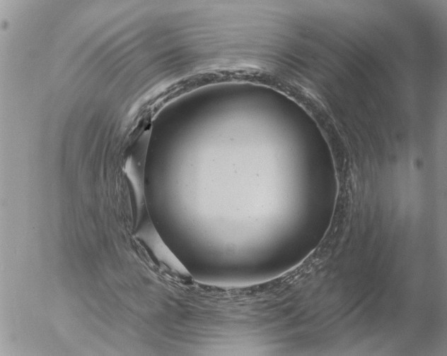 X0000053070920200508011936