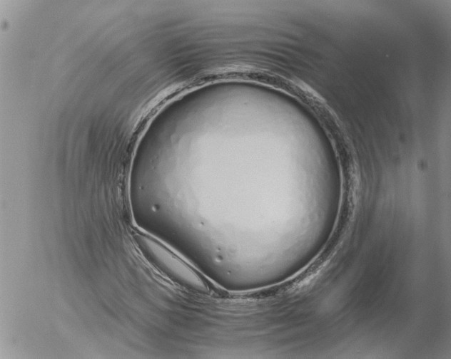 X0000053070921200508011936