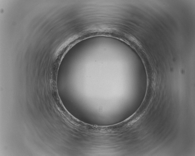 X0000053070922200508011936