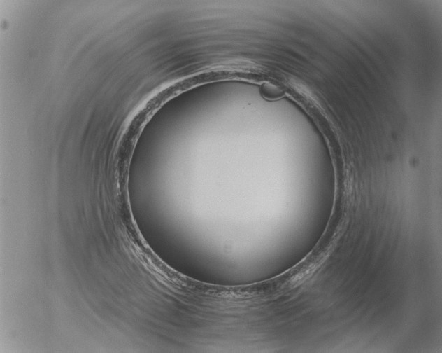 X0000053070923200508011936