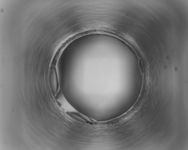 X0000053070924200508011936