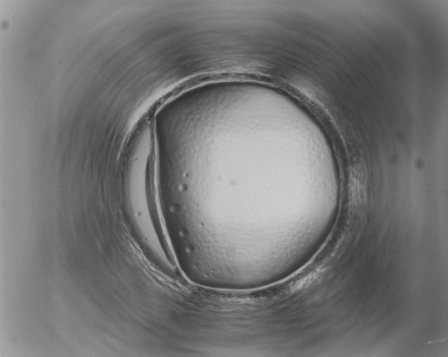 X0000053070925200508011936