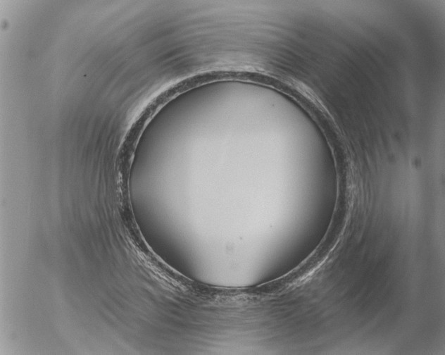 X0000053070926200508011936