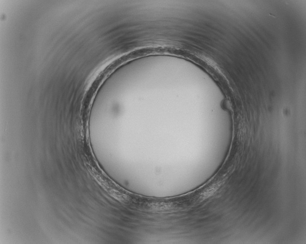 X0000053070927200508011936