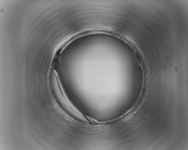 X0000053070928200508011936