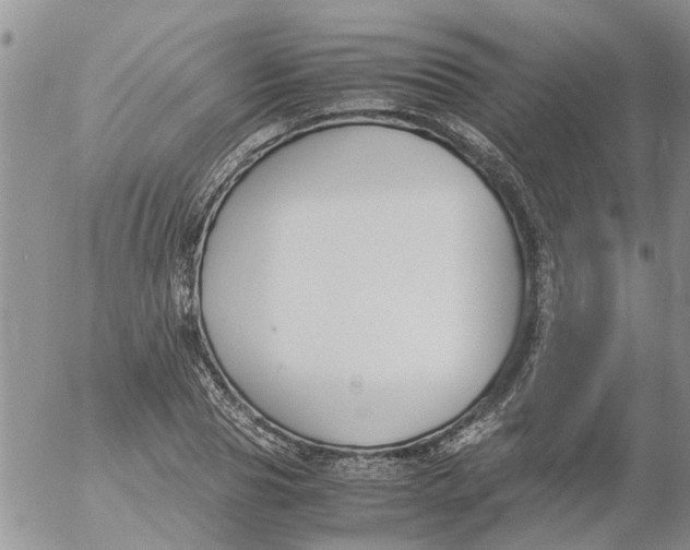 X0000053070929200508011936