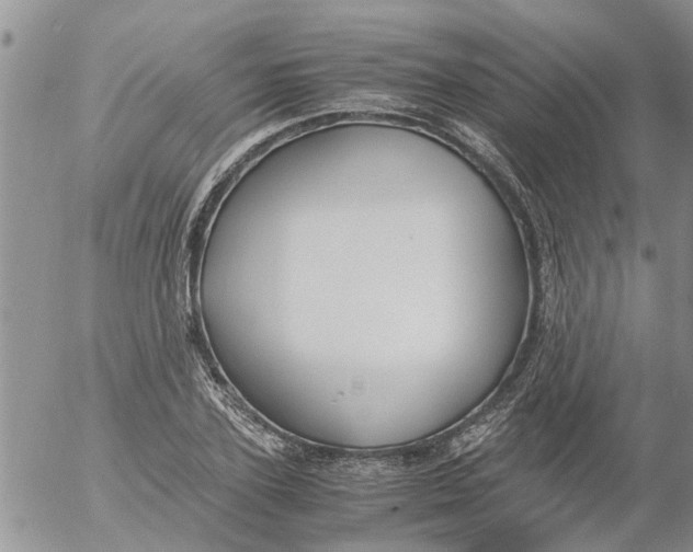 X0000053070931200508011936