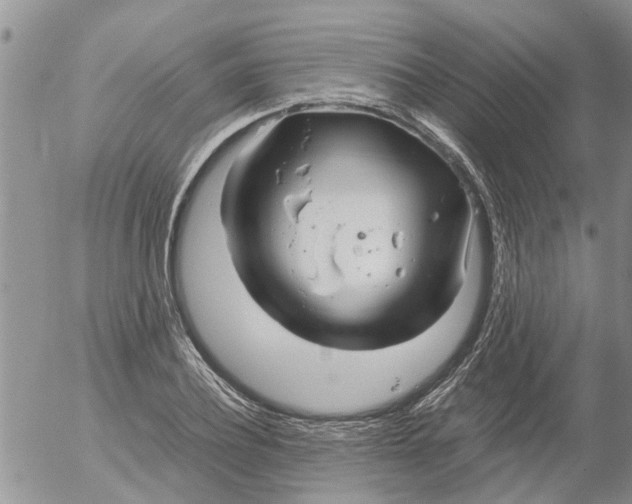 X0000053070932200508011936