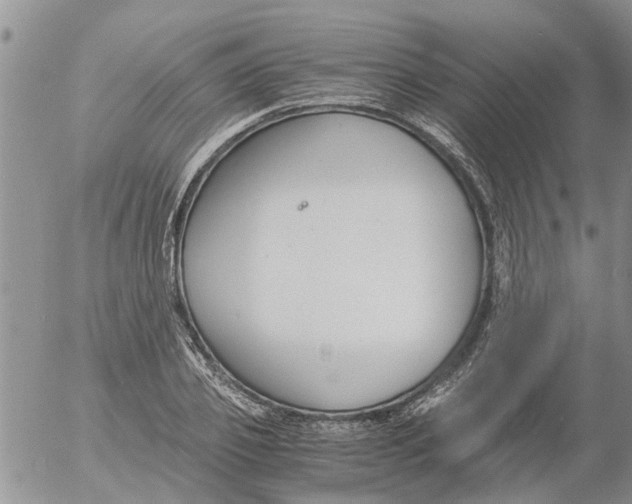 X0000053070933200508011936