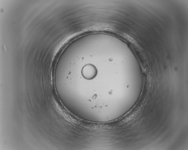 X0000053070934200508011936