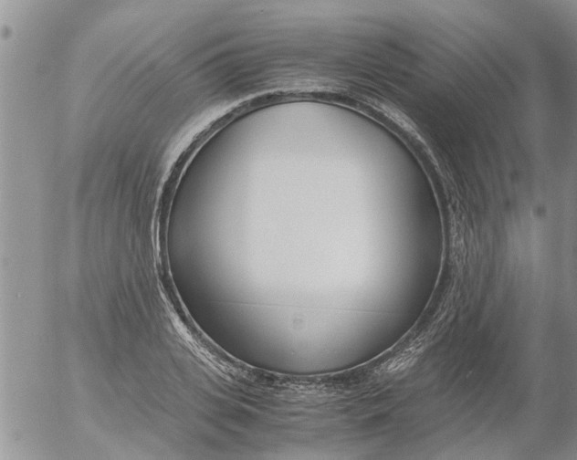 X0000053070935200508011936