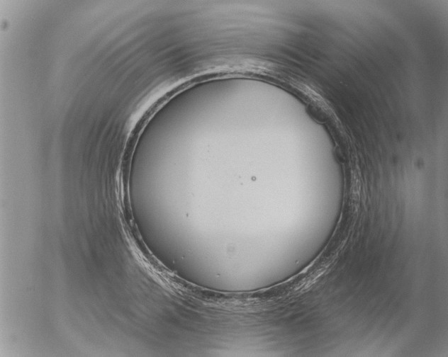 X0000053070936200508011936