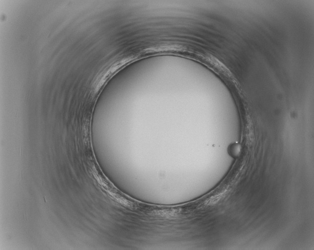 X0000053070937200508011936