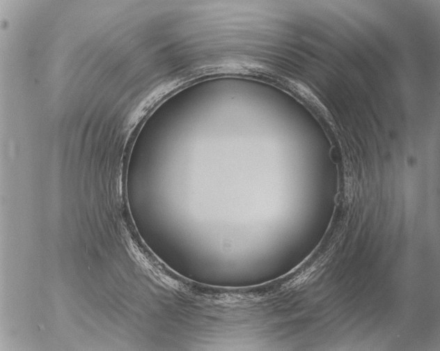 X0000053070938200508011936