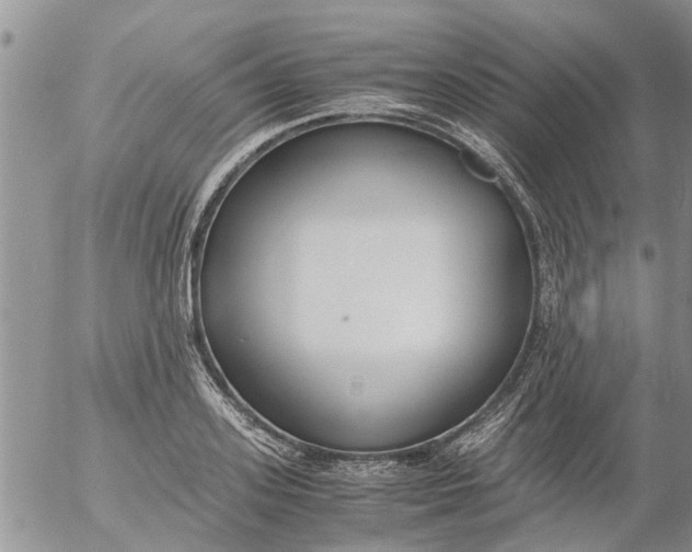 X0000053070939200508011936