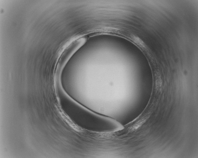 X0000053070940200508011936