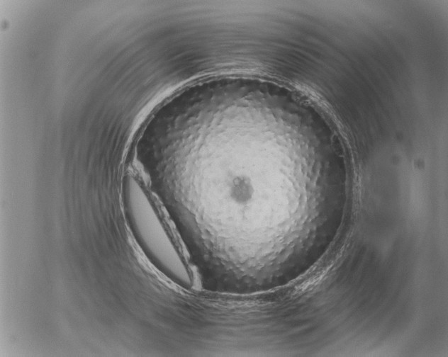 X0000053070941200508011936