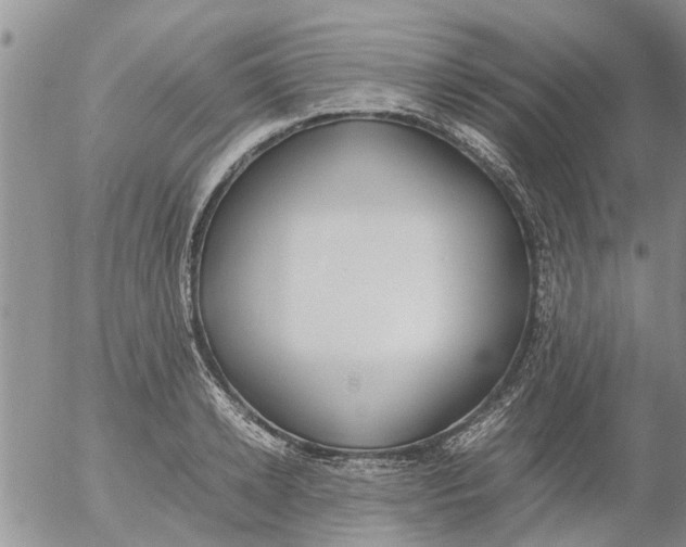 X0000053070942200508011936