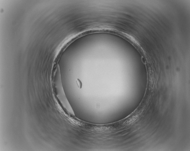 X0000053070943200508011936