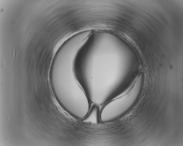 X0000053070944200508011936