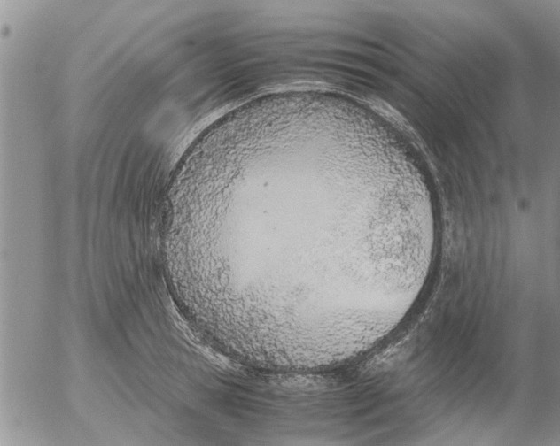 X0000053070945200508011936