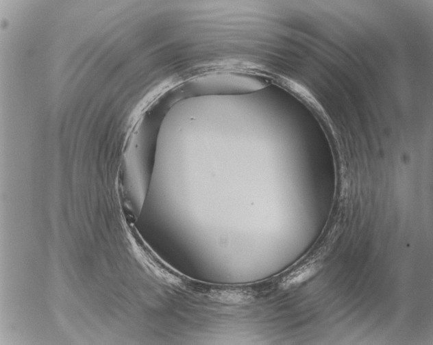 X0000053070946200508011936