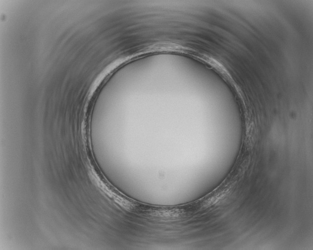 X0000053070947200508011936