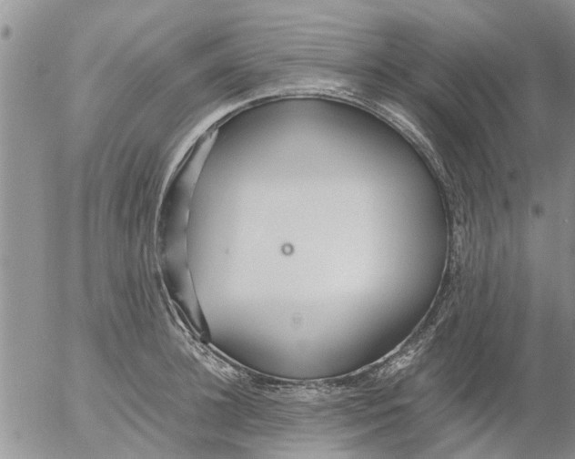 X0000053070948200508011936