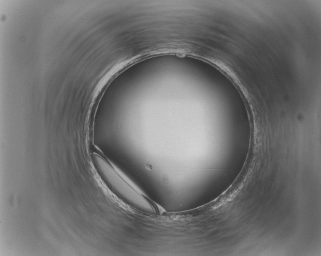 X0000053070949200508011936