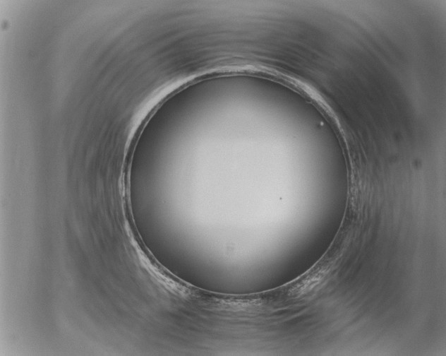 X0000053070951200508011936