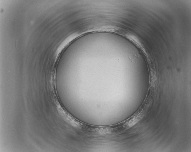 X0000053070952200508011937