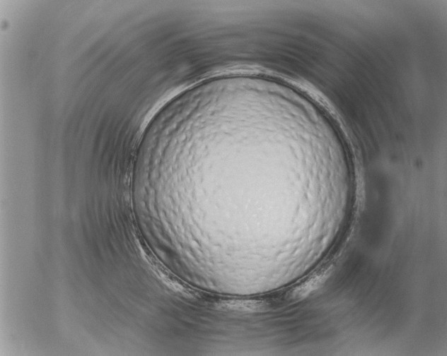 X0000053070953200508011937