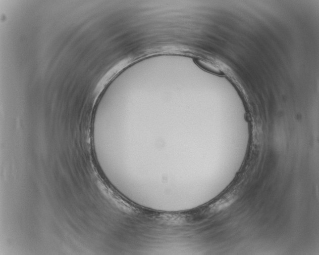 X0000053070954200508011937