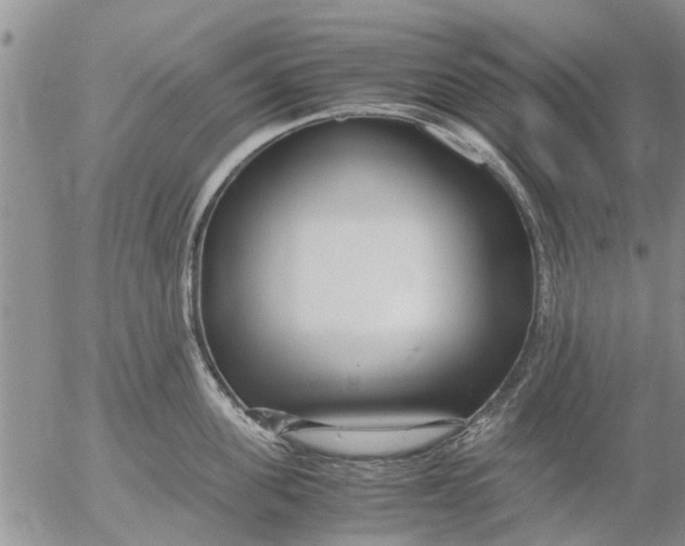 X0000053070955200508011937