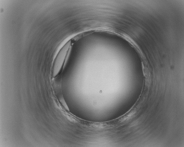 X0000053070956200508011937