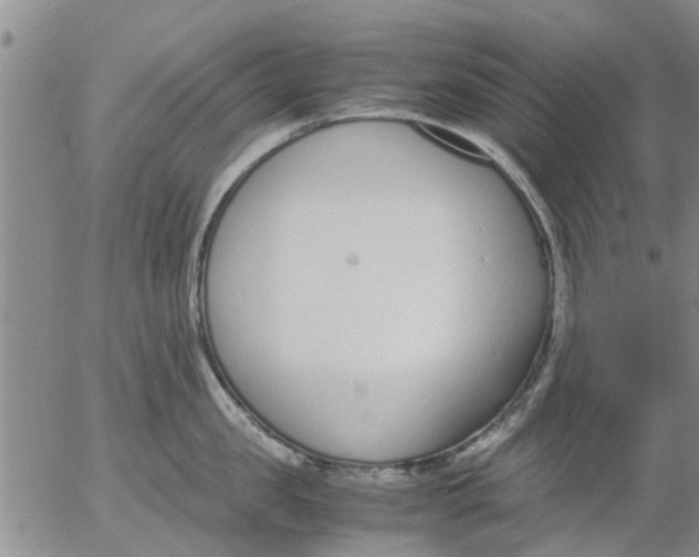 X0000053070957200508011937