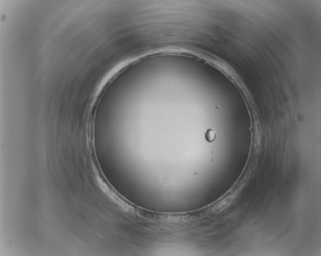 X0000053070958200508011937