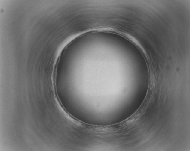 X0000053070959200508011937