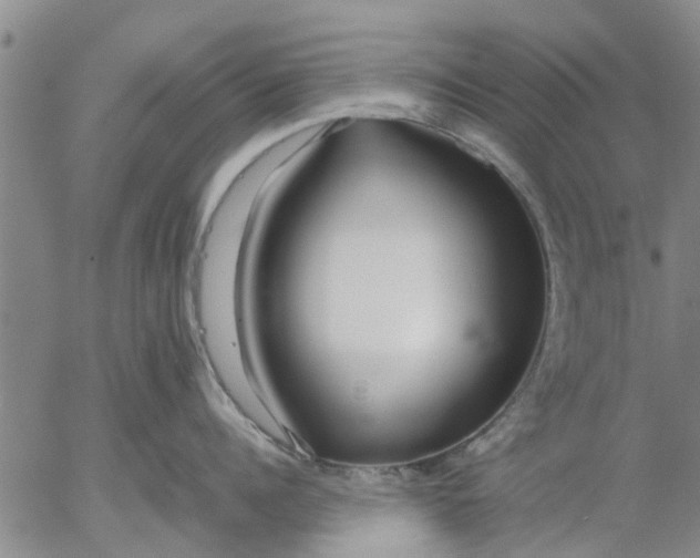 X0000053070960200508011937