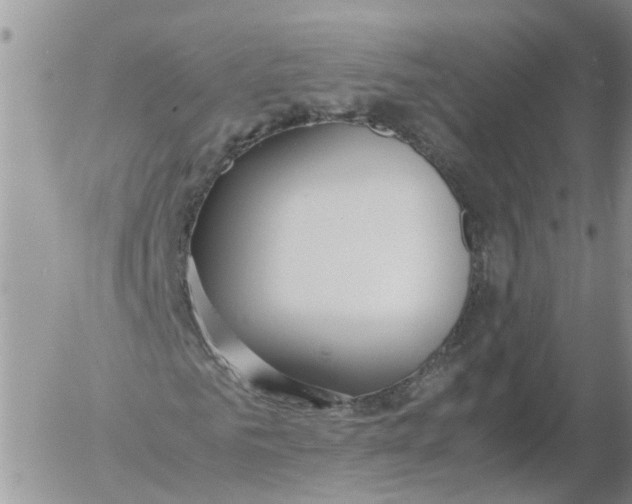 X0000053070961200508011936