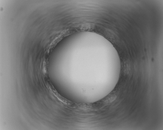 X0000053070962200508011936