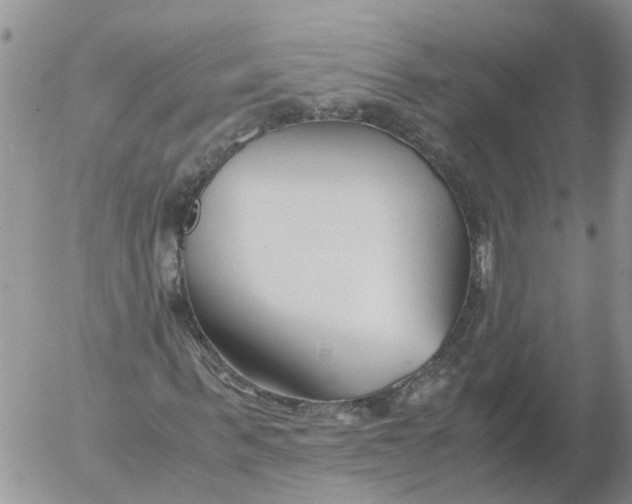 X0000053070963200508011936