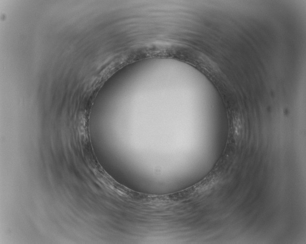 X0000053070964200508011936