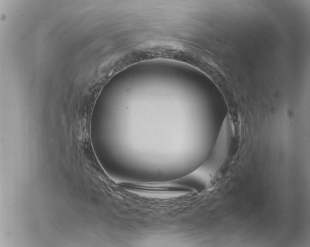 X0000053070965200508011936