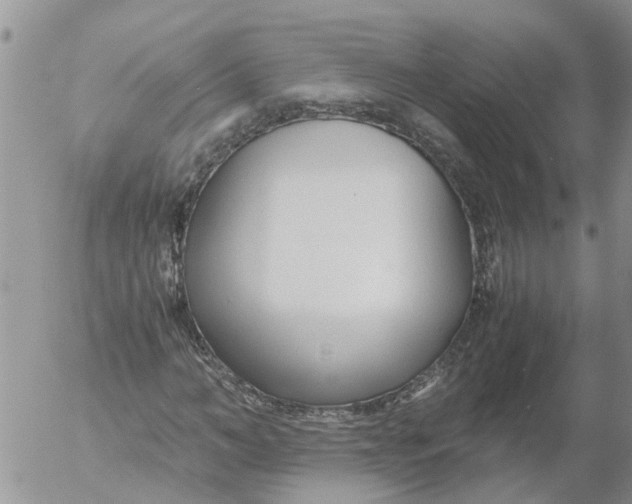 X0000053070966200508011936