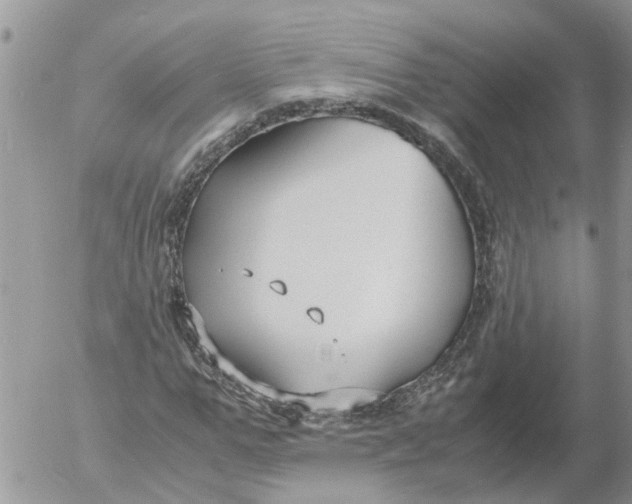 X0000053070967200508011936