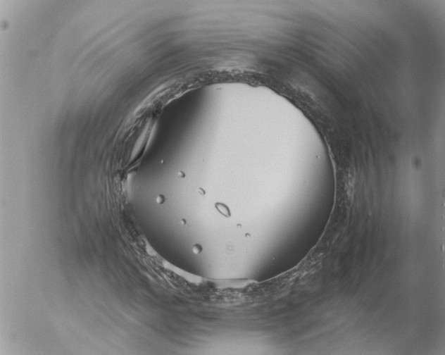 X0000053070968200508011936